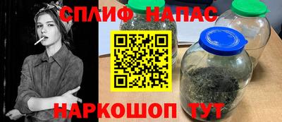 СК Тула